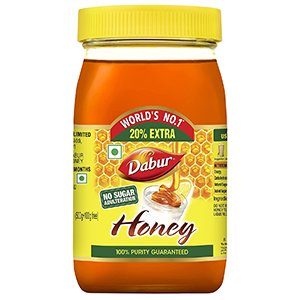 DABUR HONEY 100 ML