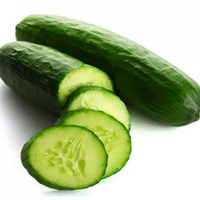 CUCUMBER 0.9 - 1.0KG