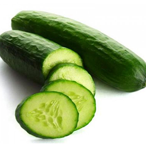 CUCUMBER 0.9 - 1.0KG