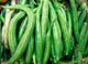 SNAKE GUARD 400-500 GRAMS