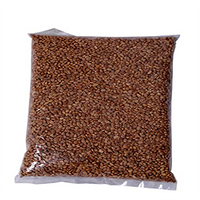 AKSHAR CHIRONJI (CHAROLI) 100 GMS