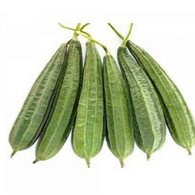 RIDGE GOURD 450-600 GRAMS