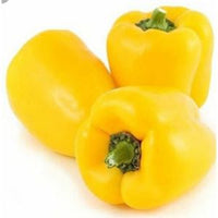 YELLOW CAPSICUM 200GM