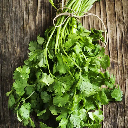 CORIANDER LEAVES 100 GM
