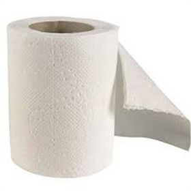 PREFER SOFT BATHROOM TISSUES 2 PLY X 10 ROLES