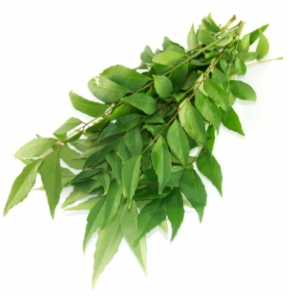 CURRY LEAVES(FREE)