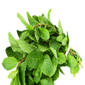 FRESH MINT LEAVES 100GM