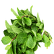 FRESH MINT LEAVES 100GM