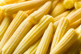 FRESH BABY CORN 6 PCS