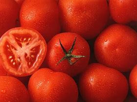 FRESH TOMATO 1 KG