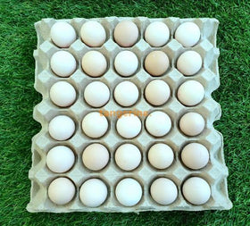 Kampong Eggs 10 Per Tray (60g-64g)