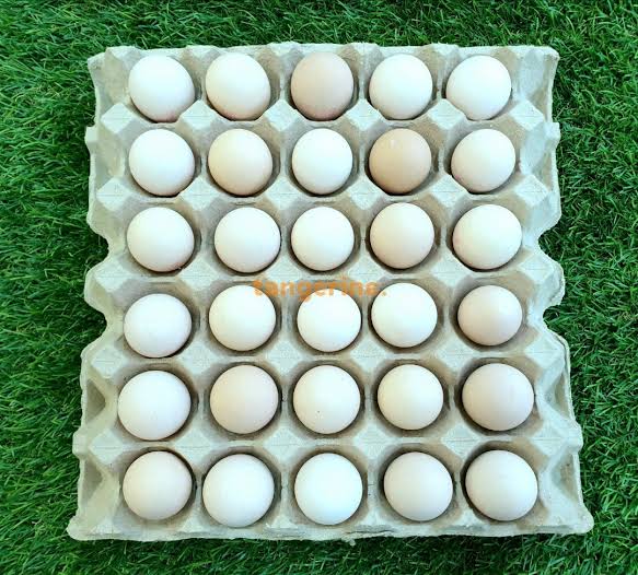 Kampong Eggs 10 Per Tray (60g-64g)