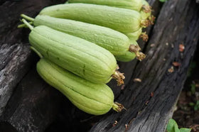 THAI LOOFAH 400GM