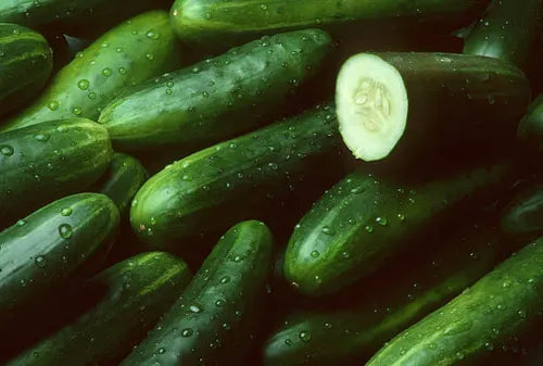 CUCUMBER 0.9 - 1.0KG