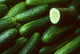 CUCUMBER 0.9 - 1.0KG