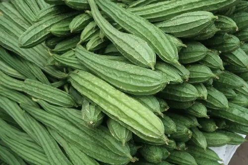 RIDGE GOURD 450-600 GRAMS