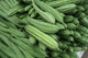 RIDGE GOURD 450-600 GRAMS